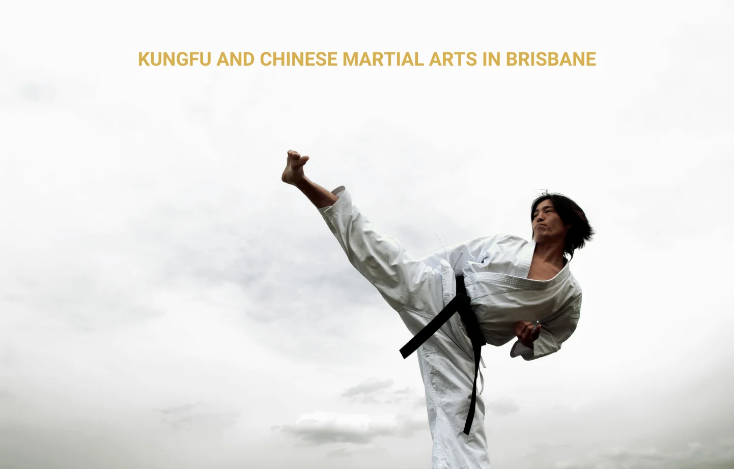 Kungfu and Chinese martial arts in Brisbane Golden Horde Productions